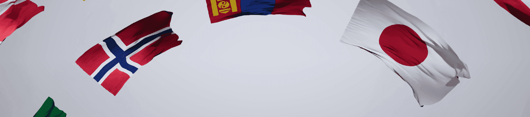 Esports Nations Cup national flags banner